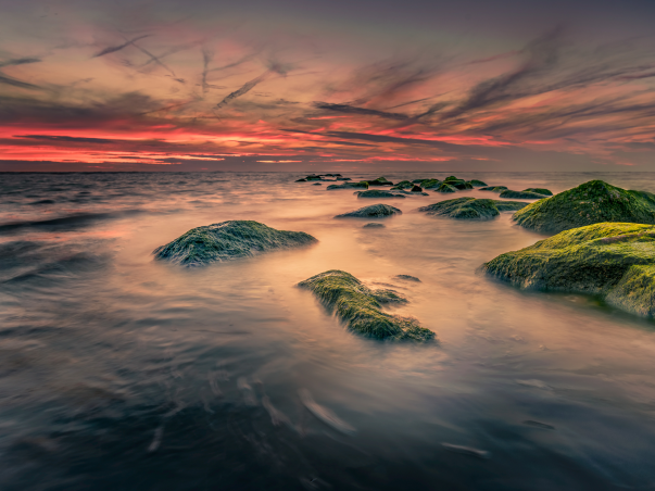 High Tide