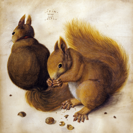 Two squirrels