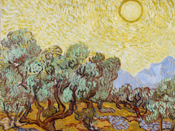 Olive Trees