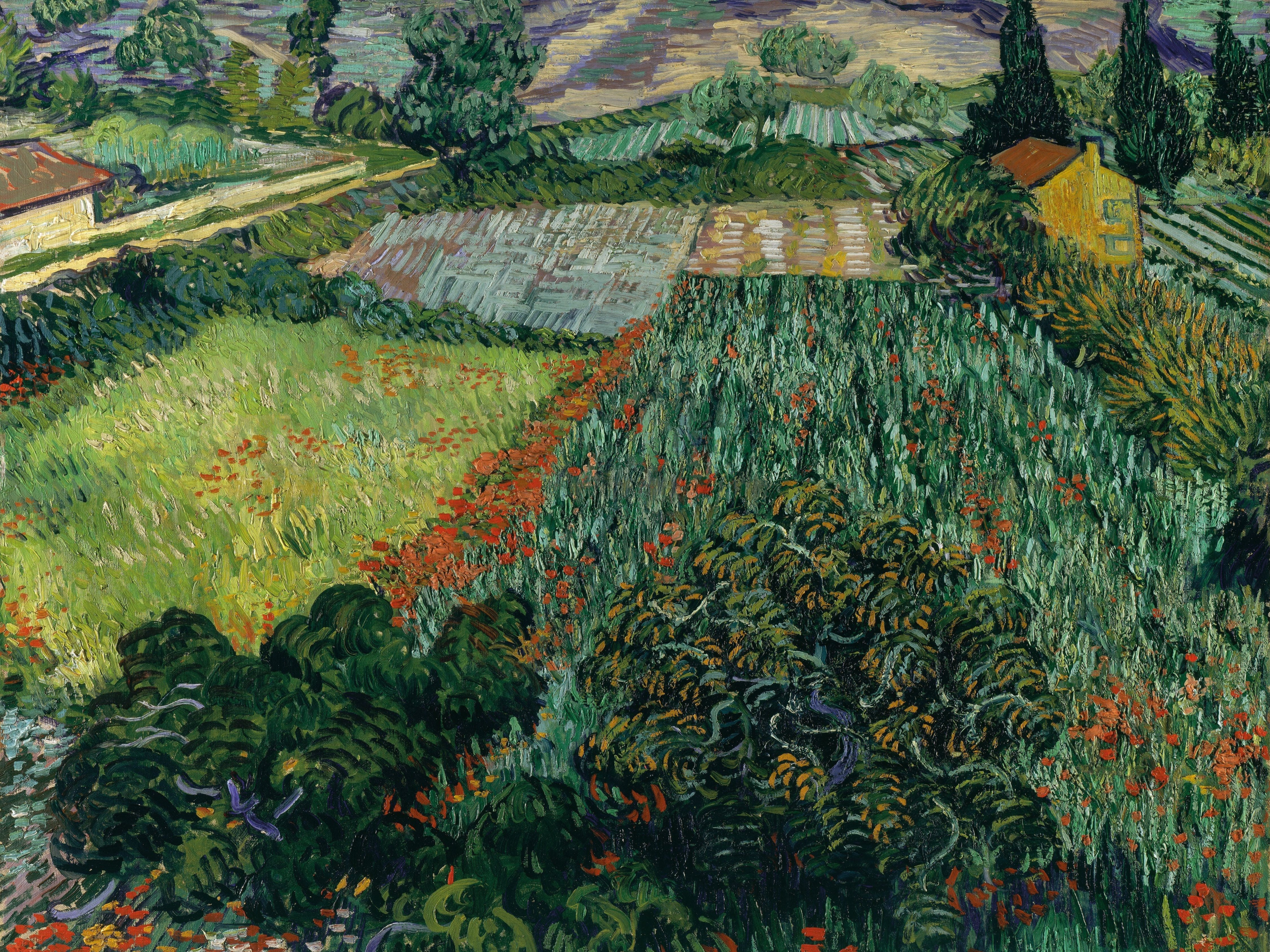 Field with Poppies