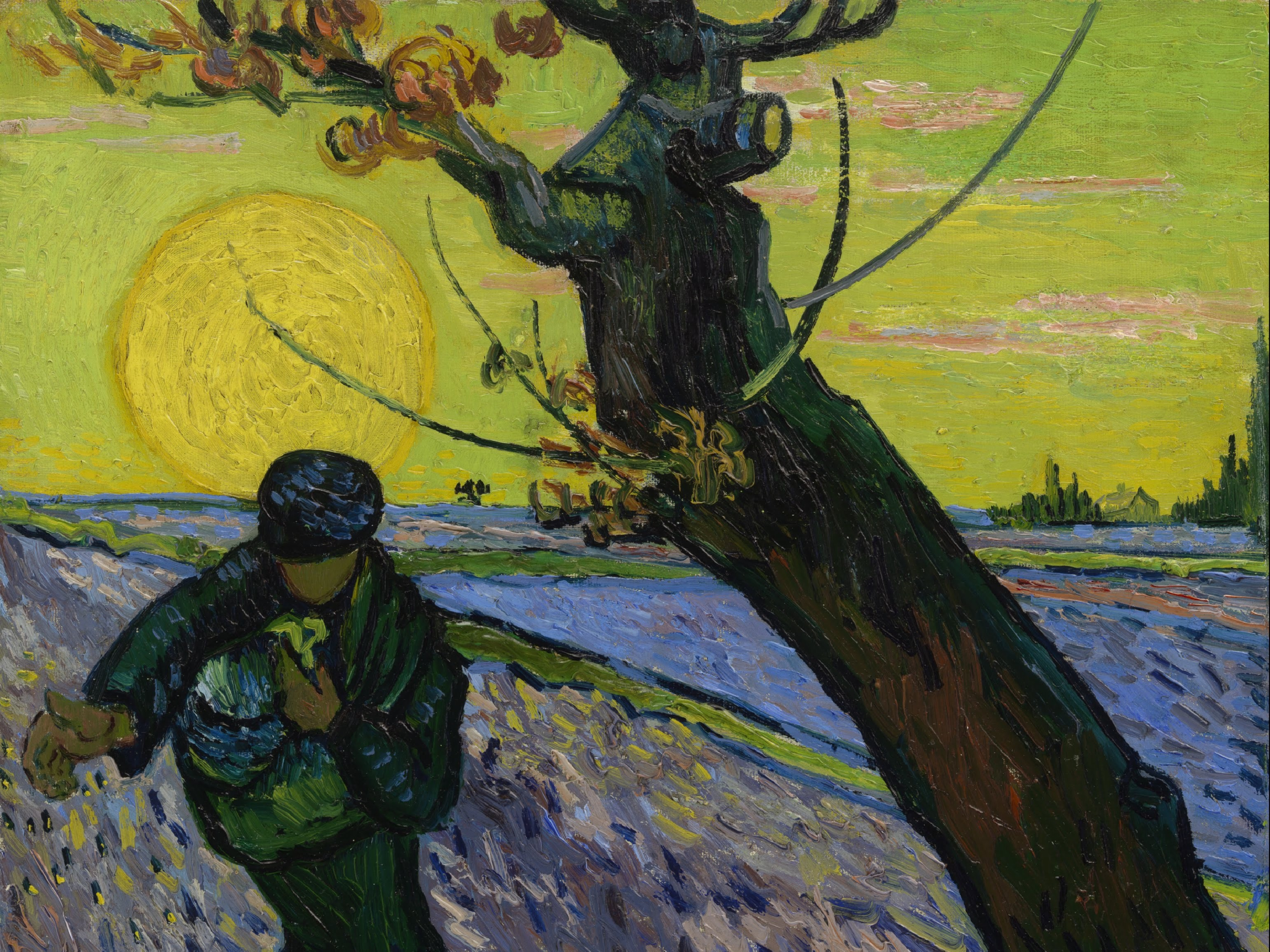 The sower