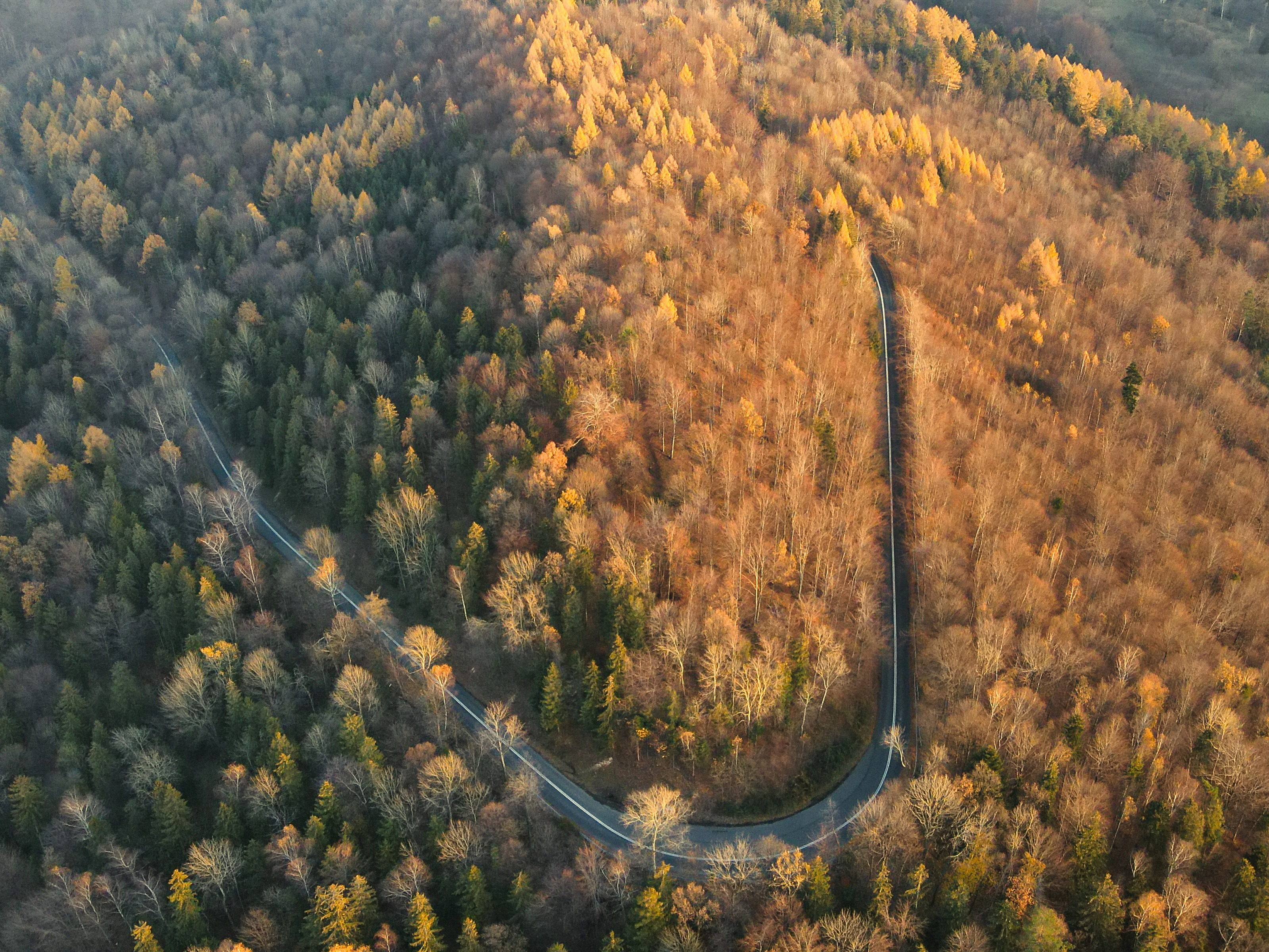 Jesień w górach