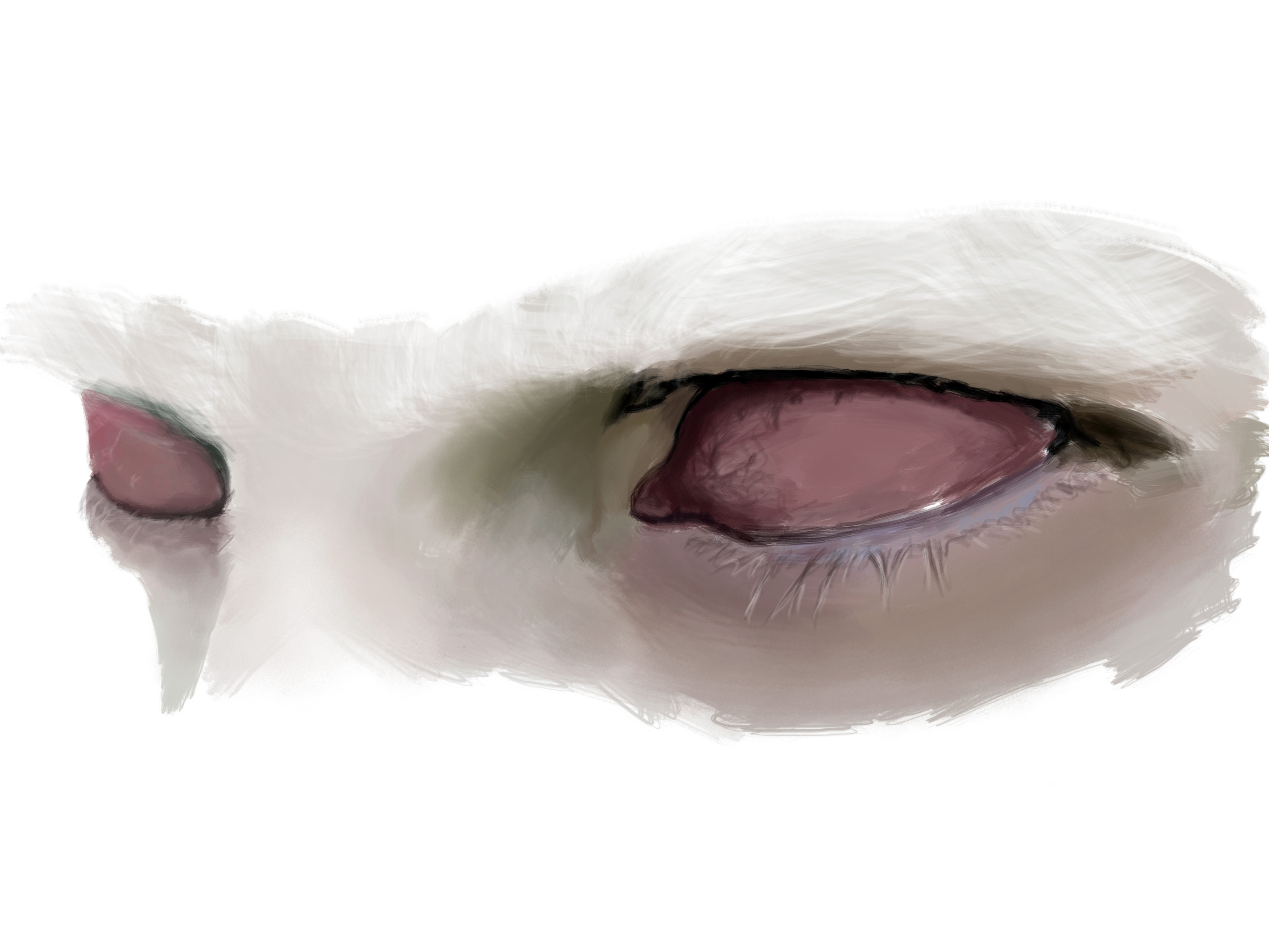 Rogue eyes
