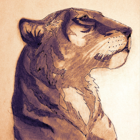 Tiger look